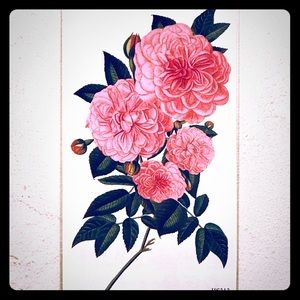 TEMPORARY PINK PEONY TATTOO 🌸